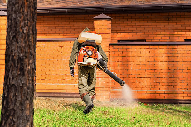 Trusted Cockroach Control service in Park Hills, KY - Nex Pest Control